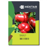 Hectarul - Seminte Ardei gogosar Traian F1 HEKTAR 500 sem